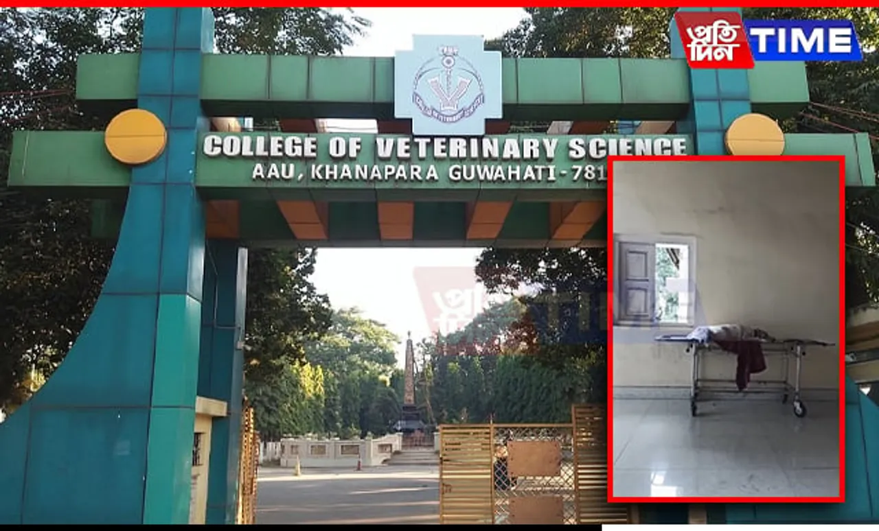 Guwahati Couple’s Harrowing Experience at Khanapara Veterinary College Exposes Shocking Neglect